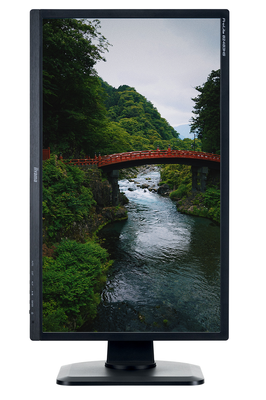 Iiyama ProLite B2483HS 