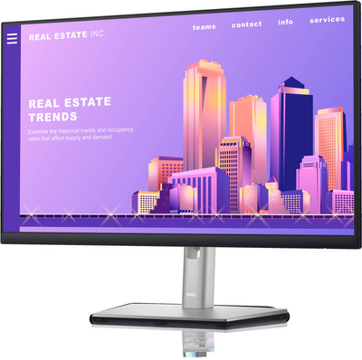 Dell P2422H / Klasa B