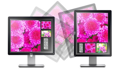 Dell P1914SF