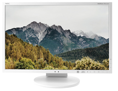 NEC MultiSync EA223WM z głośnikami / Klasa B