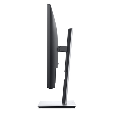 Dell P2419h