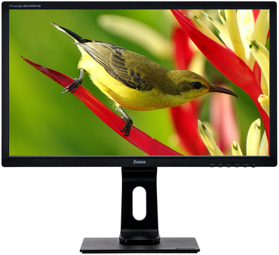 Iiyama ProLite B2482HS-B1 z głośnikami