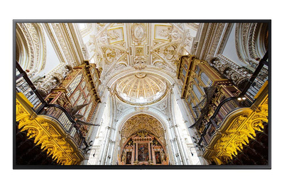 Monitor Samsung QM43N 4K UHD z głośnikami