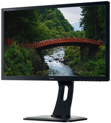 Iiyama ProLite B2483HS 