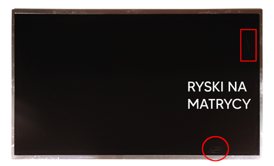 Matryca AU Optronics B156XTN08.2 / 15,6'' HD (1366 x 768) / 30 pin eDP / Klasa A-