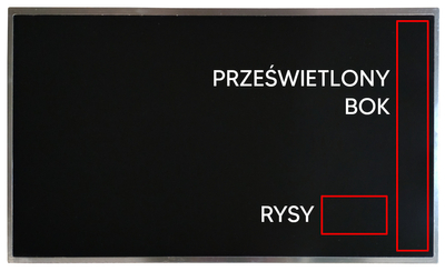 Matryca InnoLux N173FGE-L12 C1 / 17,3'' HD+ (1600 x 900) / 40 pin LVDS / Klasa A-